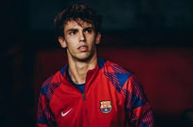 哈宝角球区唱跳 欢乐值直接拉满 开云体育播报