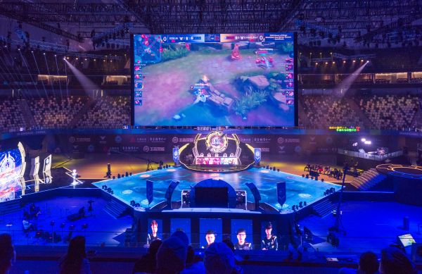 队和教练组 队和教练组